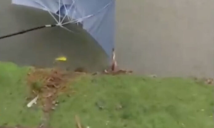 The Nanjinger - Angler Dead in Nanjing after being Struck by Lightning