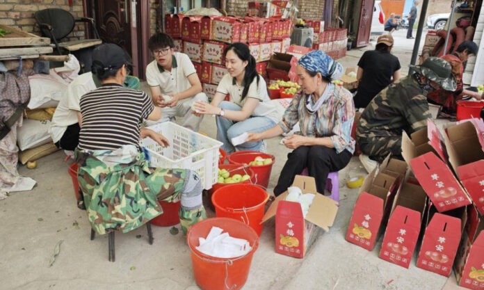 The Nanjinger - Ethnic Unity is Focus for Jiangsu University Students Volunteering in Xinjiang