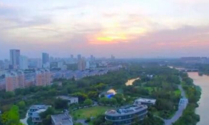 The Nanjinger - Which City in Jiangsu Shows Best Economic Performance in 24H12?