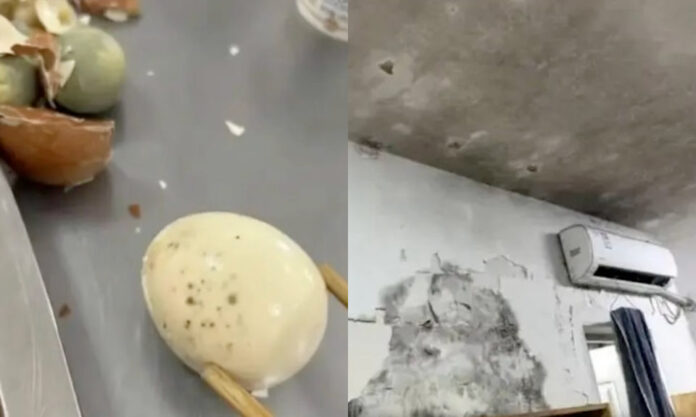 The Nanjinger - Can Canteen Eggs & Dormitory Walls be this Mouldy in Suzhou Sports School?