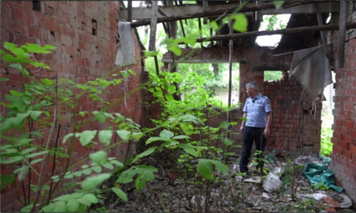 The Nanjinger - Changzhou Police Crack Case of Mother & Daughter Murder from 31 Years ago