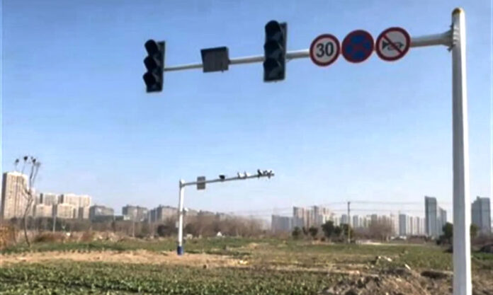 The Nanjinger - Villagers in Nantong Find Traffic Lights Flashing Yellow in their Vegetable Patch