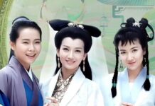 The Nanjinger - Superstar Cecilia Yip Calls Time on Tour; Says Suzhou Stop Will be Her Last