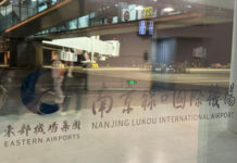 The Nanjinger - Can Nanjing Lukou’s Terminal 3 be the Airport’s Saviour? Yeah, but with Foreign Help