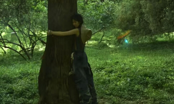 The Nanjinger - Return of the Tree Huggers! China’s Youth Seek Wellbeing amid StressThe Nanjinger - Return of the Tree Huggers! China’s Youth Seek Wellbeing amid Stress